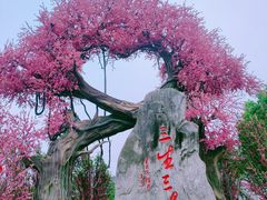 -昌州古城