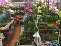 -双季花艺园艺市场(浦东店)