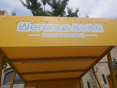 -维尔纳斯·生日蛋糕动物奶油冰淇淋蛋糕(人大店)