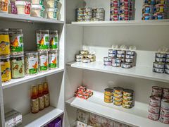 -青奢宠物·青奢猫舍