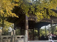 -汇龙潭