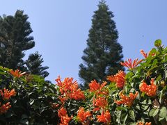 -桃花涧