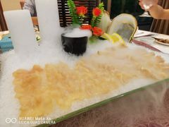 -欢乐海岸美食联盟