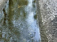 -菖蒲河公园
