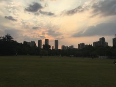 -青枫公园