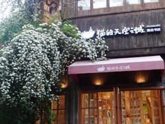 -猫的天空之城概念书店(苏州平江店)