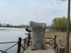 -溱湖国家湿地公园