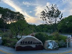 -渤公岛生态公园