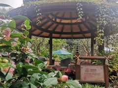 -厦门日月谷温泉渡假村