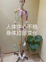 -小颜秘家·韩国整骨