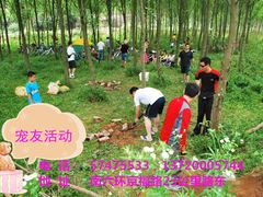 -瑞派·关忠动物医院·猫专科·犬专科(三环新城店)