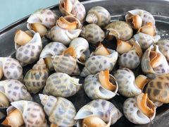 -红月湾海鲜饭店•沙滩海景(双月湾店)