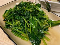 清炒藏红花苗-缘生态云南菜·野生菌庭院餐厅(华侨城店)