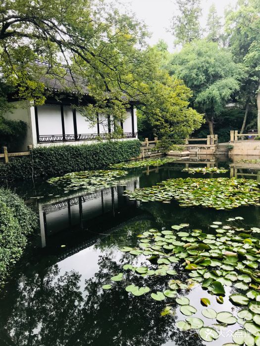 曲水园图片 - 第5张