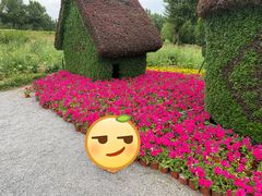 -长白岛森林公园