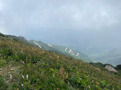 -白草畔自然风景区