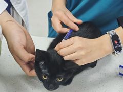 -联合动物医院(光谷诊疗中心)