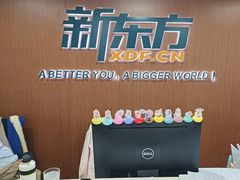 -新东方成人英语学习考试·口语·商务(延安路校区)