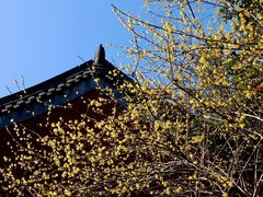 -钱王祠