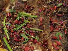 -郑记•不夜城烧烤•龙虾•虾蟹(黄鹤楼店)