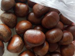 -黑孩油栗皇(南阳路店)