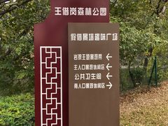-王借岗森林公园