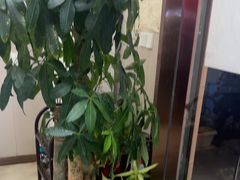 -征舒服盲人按摩(光谷创业街店)