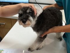 -中农大我爱我爱动物医院·核磁CT·猫病·24小时夜诊中心(石佛营店)
