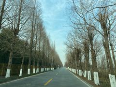 -太阳岛度假酒店
