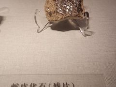 -四川宋瓷博物馆