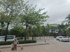 -三亚海棠湾万丽度假酒店