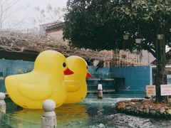 -天怡·鱼工厂(临江店)