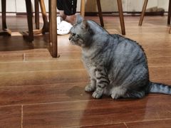 -H立方实景剧情密室(天河旗舰店)