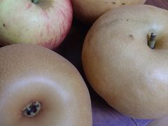 -沈阳市八家子水果批发市场