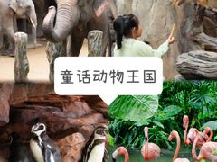 -长鹿旅游休博园