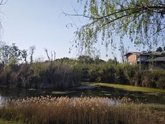 -白鹭湾湿地公园