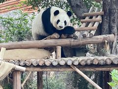 -灵玲国际马戏城
