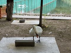 -吉林大学(前卫南区)