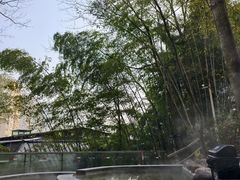 -花水湾第一村温泉大酒店