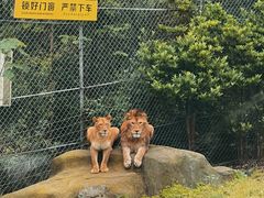 -乐和乐都主题乐园