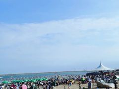 -碧海金沙