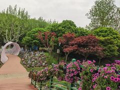 -上海鲜花港