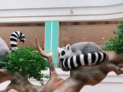 -大族广场Mall&More