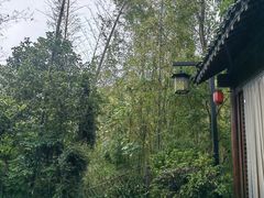 -杭州半山国家森林公园