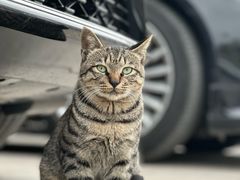 -三江森林温泉度假区