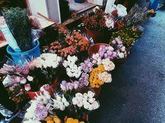 -循礼门鲜花花市(武汉循礼门店)