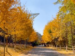 -长白岛森林公园