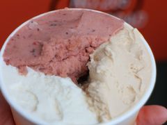 -Dip in Gelato(富民路店)