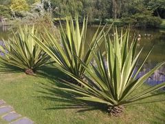 外景-厦门悦华酒店