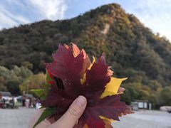 -三块石国家森林公园